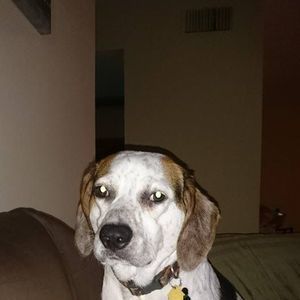 Meet your Posher, Johnny